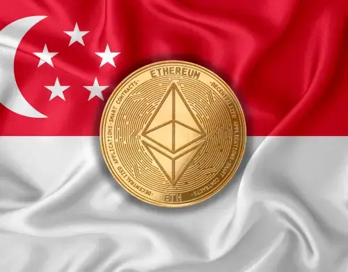BEST CRYPTO EXCHANGES IN SINGAPORE 2025 GUIDE visual data 6